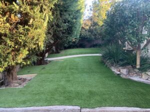 Grass Sanded, Mt Martha.